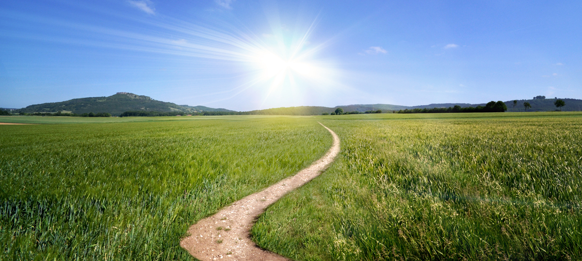 path through an open field with mountains in the distance